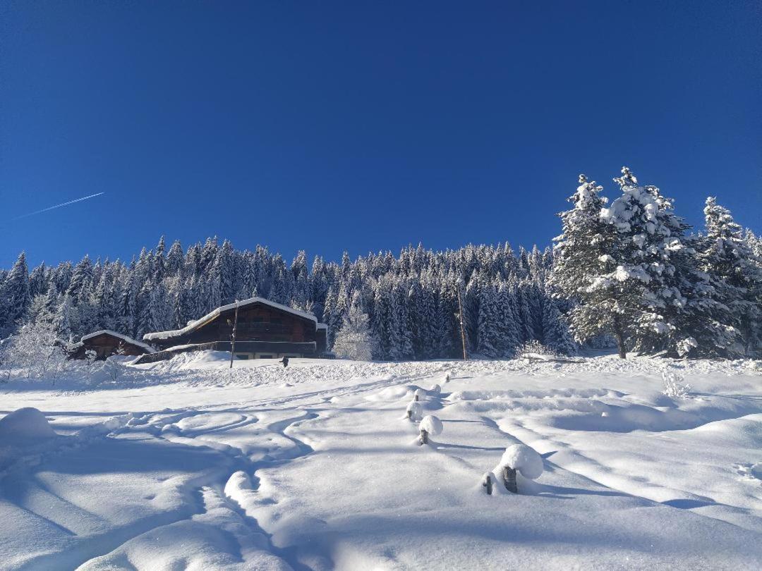 Chalet Lisa Morzine Kültér fotó