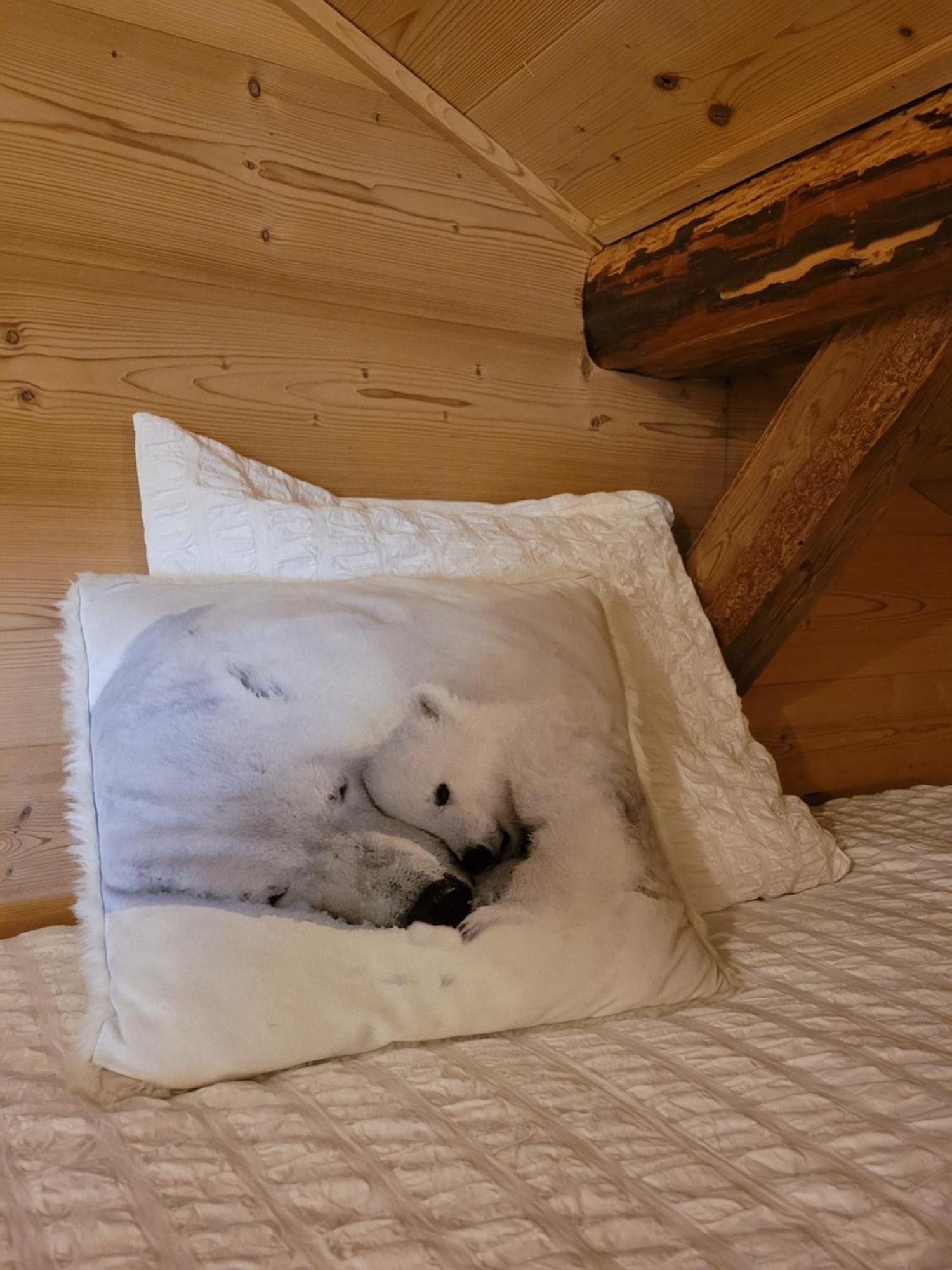 Chalet Lisa B&B Morzine Kültér fotó
